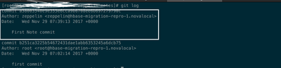 43747-commit-check-cmd.png