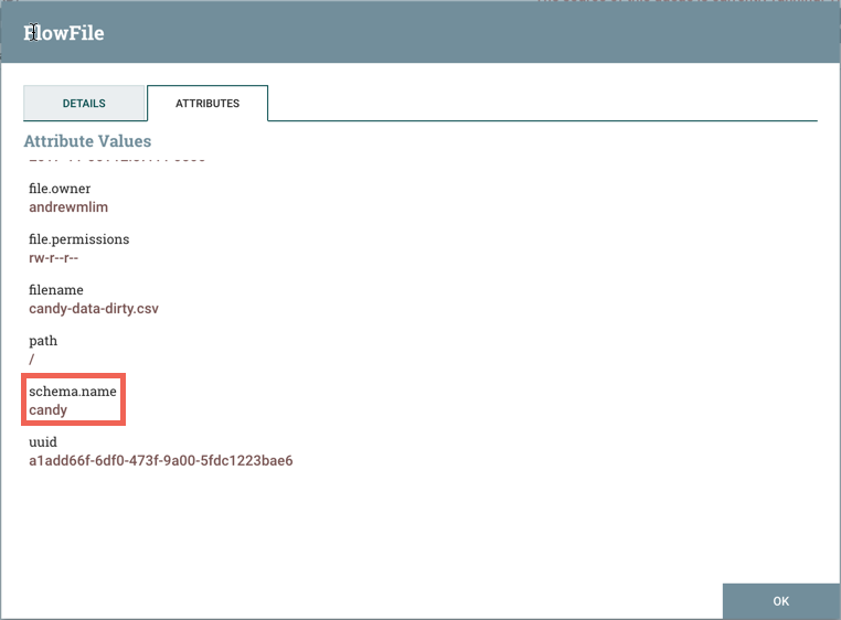 43478-12-flowfile-schema-name-attribute.png