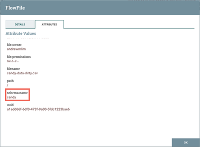 43478-12-flowfile-schema-name-attribute.png