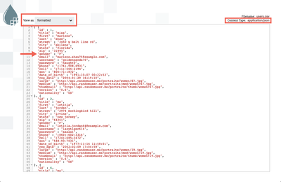 27419-18-flowfile-female-users-json.png