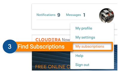Find Subscriptions.png