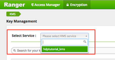 5329-step1-c-selectservice.png
