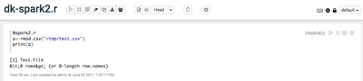 16013-spark2-r-read-file.png