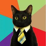 business_cat.JPG