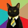 business_cat.JPG