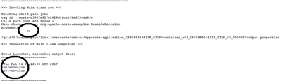 12456-29-job-output-with-arg-no.png