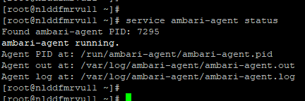 109612-ambari-hosts.png