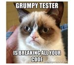 grumpy tester.jpg
