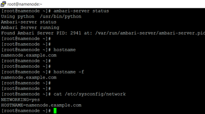 42629-screenshot-ambari-server-all-status.png