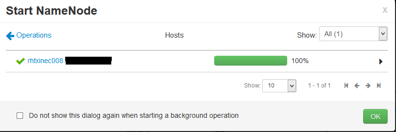 15970-namenode-start-issue.png