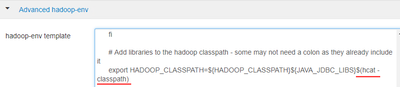 64694-hdfs-configs-advanced-env.png