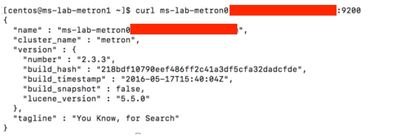 19432-curl-elasticsearch-copy.jpg