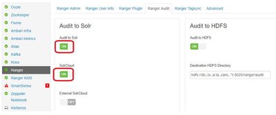 80510-solr-config.jpg