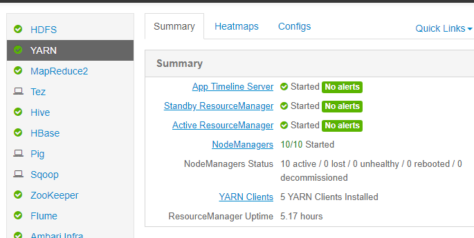 79486-resource-manager-up-and-running.png