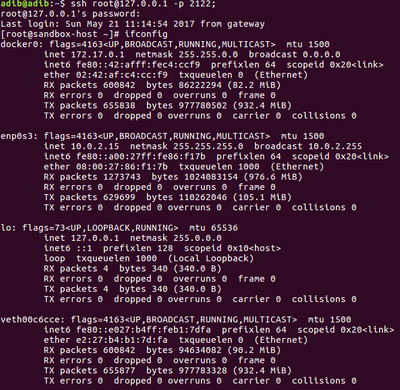 15606-sandbox-ifconfig.png