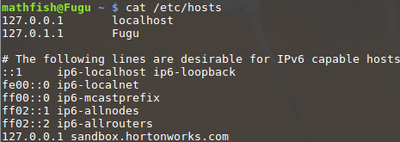 15477-hosts.png