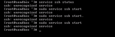 5310-ssh-status-and-start.png