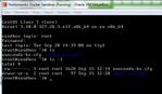 7825-capture.jpg
