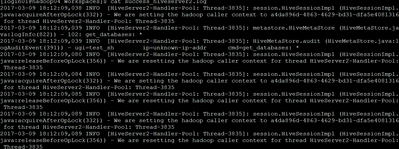 13458-success-hiveserver2.png