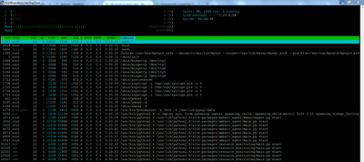 6074-htop.png