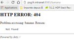 13840-capture-psg-banana.png