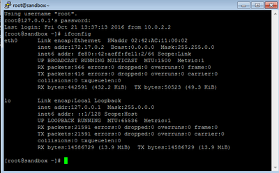 8739-ifconfig.png