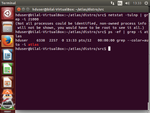 11470-netstat.png