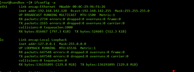 2866-ifconfig-a.png