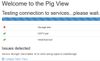 6378-pig-view-error.jpg