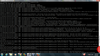 1904-pig.png 1904-pig.png