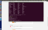 11323-ansible-ver.png
