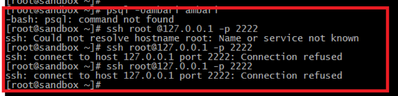 12707-inside-sandbox-you-are-doing-ssh.png