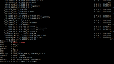 12558-commande-yum-info-ambari-server.png