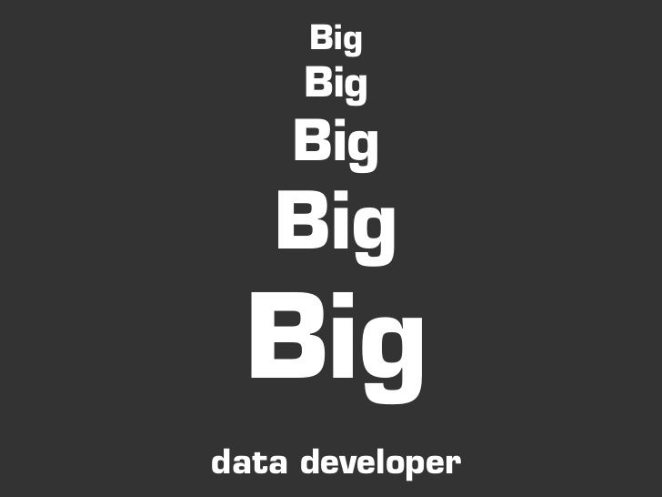 the-big-data-develope.jpg