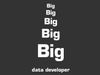 the-big-data-develope.jpg