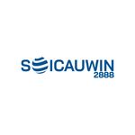 soi-cau-win.jpg