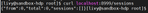 livy2.PNG
