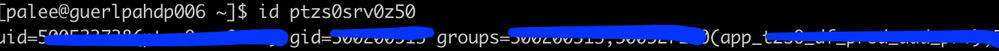 Screen Shot 2019-11-20 at 3.46.47 PM.png