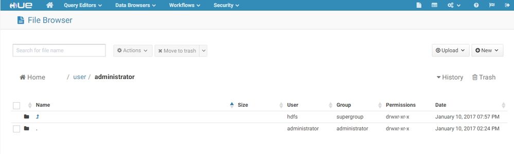 2017-01-20 01_14_13-Hue - File Browser.jpg