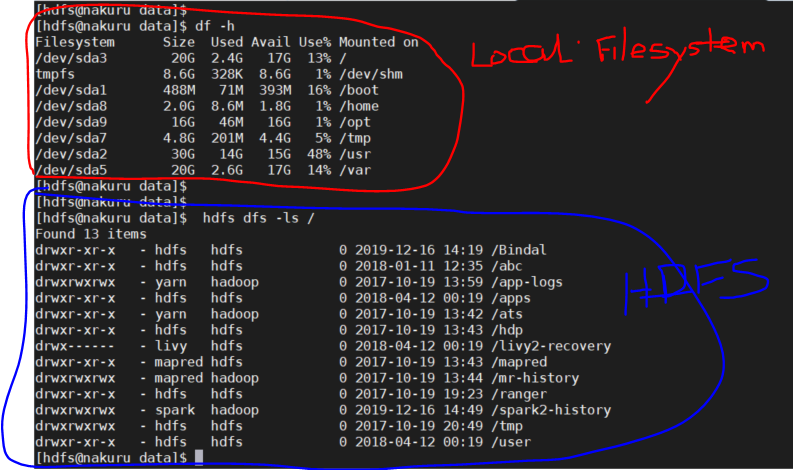 Locaand HDFS.PNG