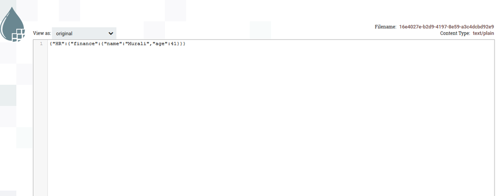 ConsumerJson.PNG
