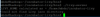 livy.PNG