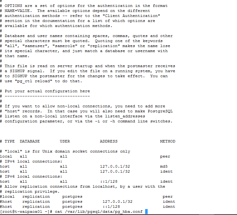 pg_hba conf file 2.png