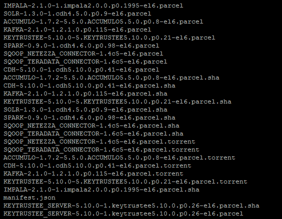 local-parcel-repo.png
