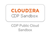 CDP Sandbox Okta tile.png