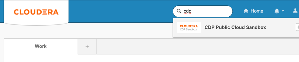 CDP authenticated via Okta .png
