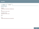 FlowFile Output