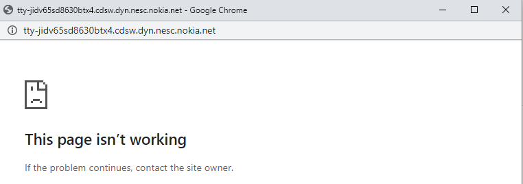 CDSW_terminal_1.png