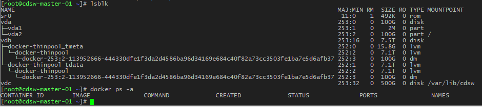 CDSW_service_docker.png