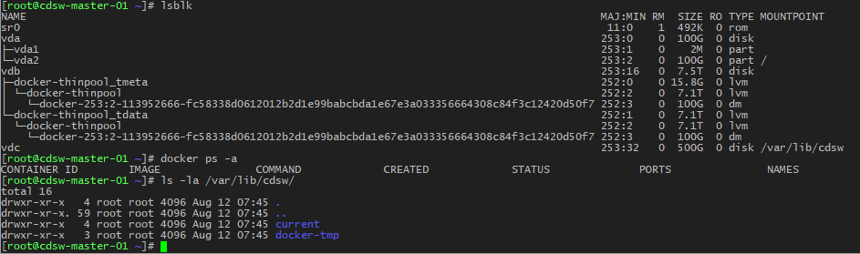 CDSW_service_docker.png
